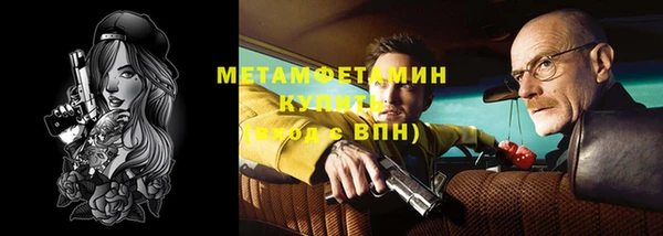 шишки Ельня