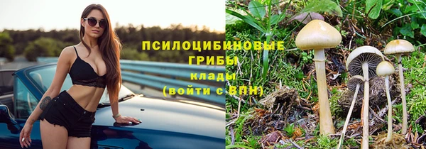 эйфоретик Абинск