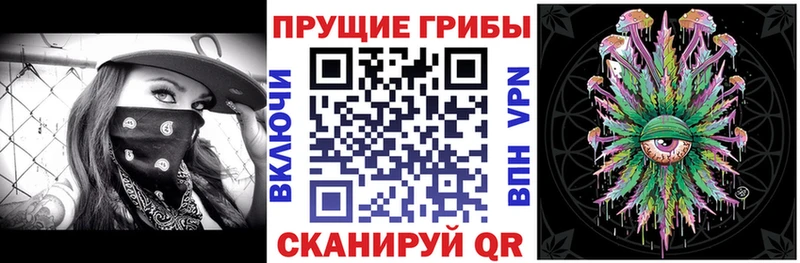 где купить   Владимир  Галлюциногенные грибы Psilocybe 