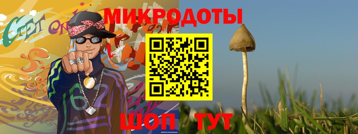 Псилоцибиновые грибы Psilocybe Владимир