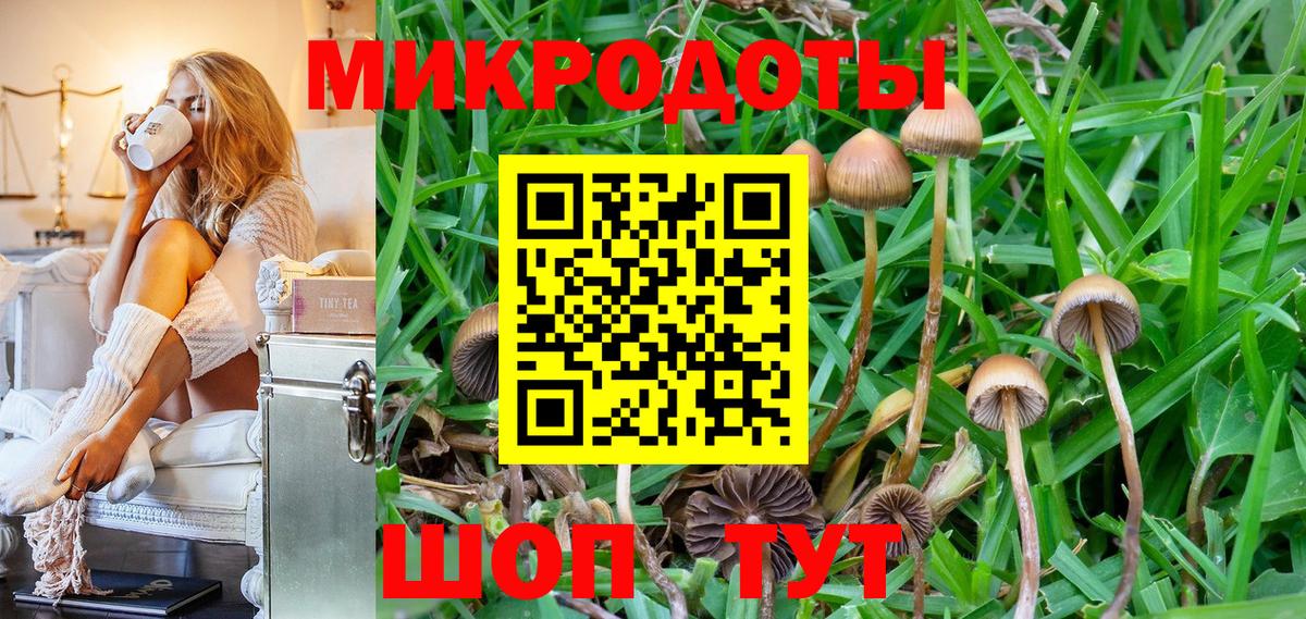 Псилоцибиновые грибы Psilocybe  Вход с VPN  Владимир 